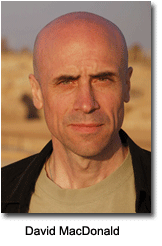 image of david
