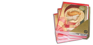 Annunciation by Fra Angelico (3 packages)