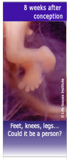 Banner - Could it be a person?