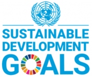 The social supply chain of the Sustainable Development Goals 