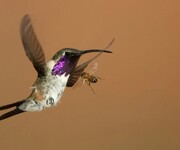 Should pro-lifers focus more on 