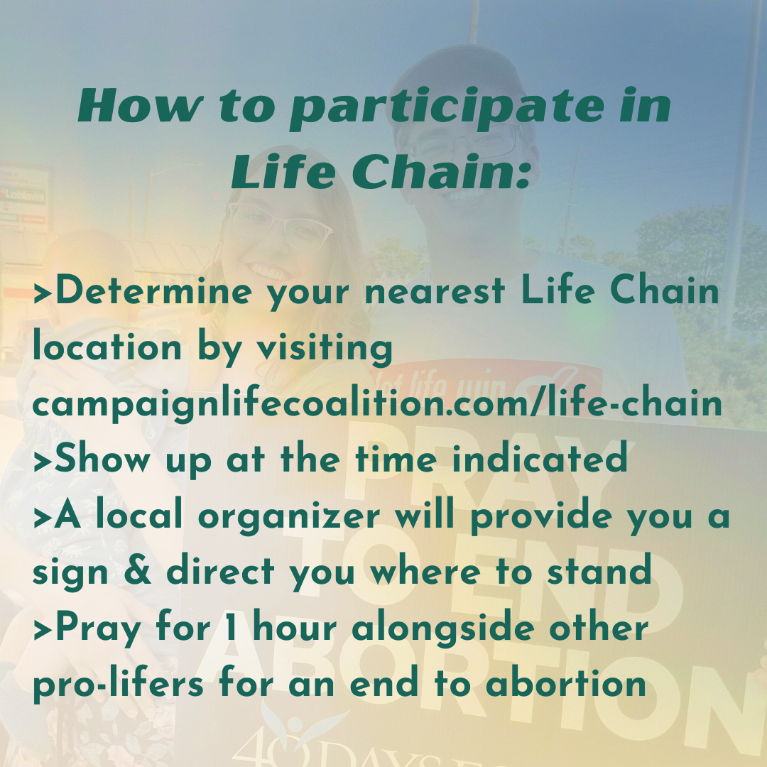 Life Chain 2024 Social Media Graphics