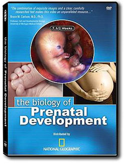 Prenatal Biology Video