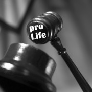 Voicing a pro-life message can sometimes require the courts
