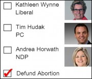 Defunding Abortion - more popular than any political party in Ontario?