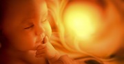 Quebec’s Proposed Constitution Would Enshrine ‘Freedom’ to Abortion