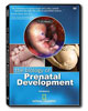 The Biology of Prenatal Development