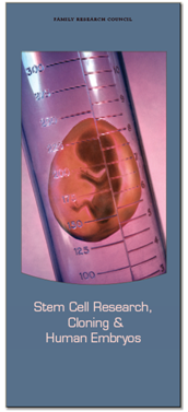 Stem cell research, cloning and human embryos