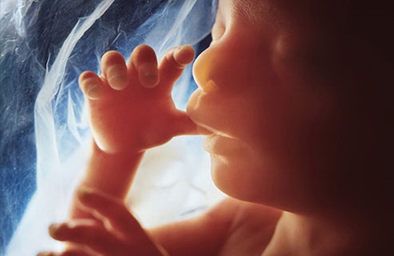 'Every child matters:' Residential schools and the battle to end abortion 